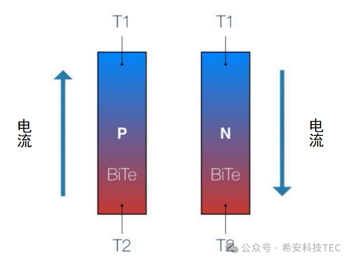 टीईसी कैसे काम करता है?